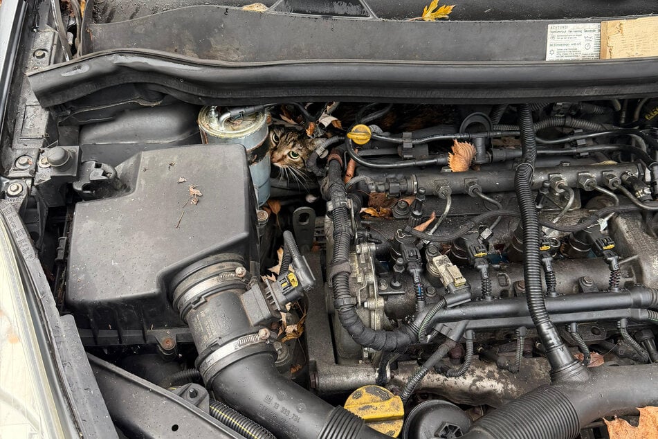 Leipzig: Achtung, Kühlwassertrick! Wie Betrüger Autoverkäufer in Leipzig abzocken