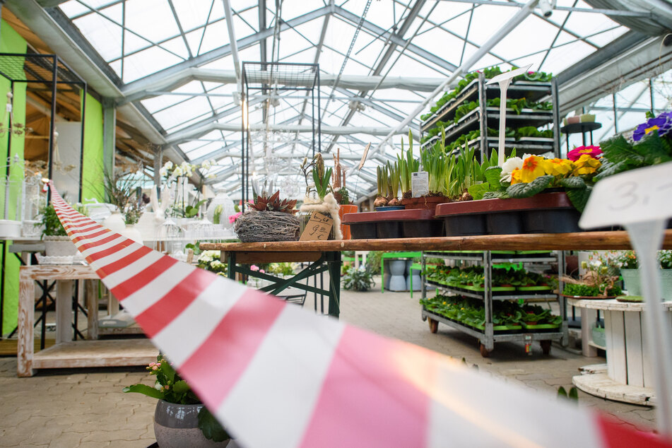 Auch geschlossene Gärtnereien können ab jetzt einen "Click & Collect"-Service anbieten, so beispielsweise auch Rieckhoff Floristik und Gartenbau in Rögatz in Sachsen-Anhalt.