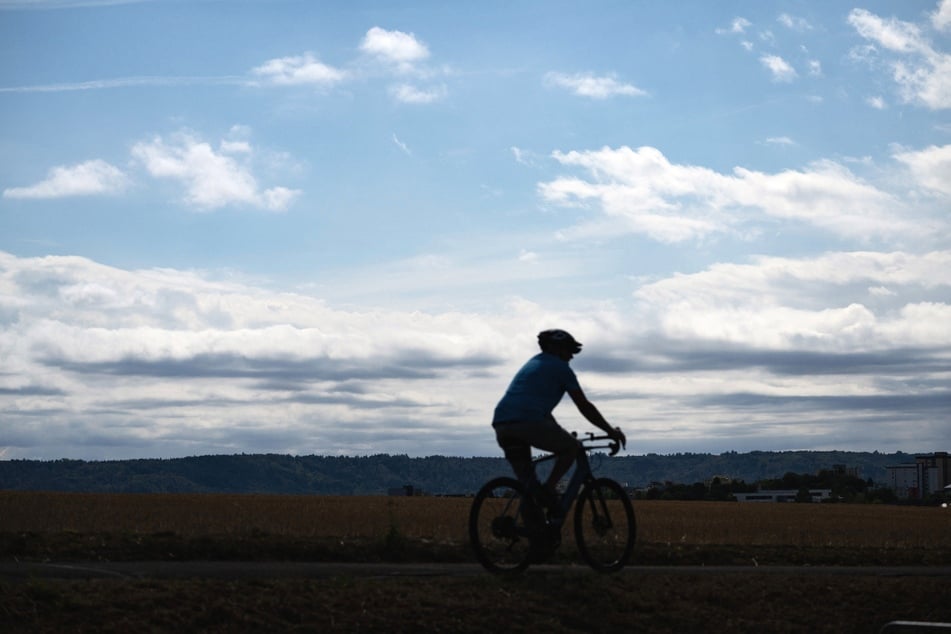 Eine Radlerin kam bei einem Unfall in der Börde ums Leben. (Symbolfoto)