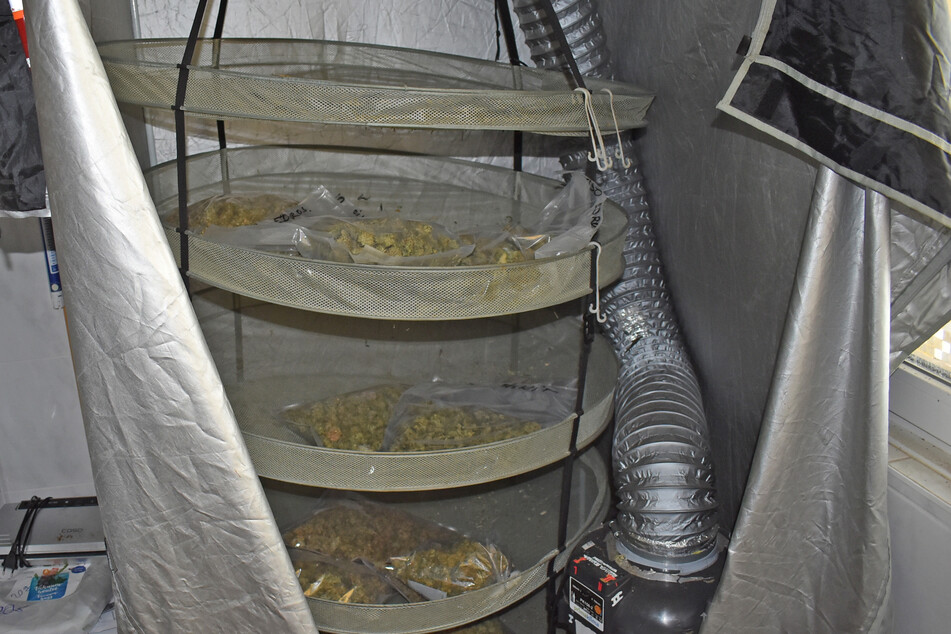Die Kölner Polizei stellte etwa drei Kilogramm Cannabis in dem Wohnhaus sicher.