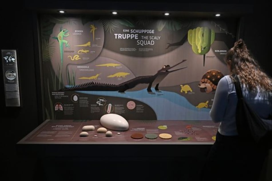 Interaktive Medientische gehören zu den neuen Teilen der Ausstellung im Berliner Aquarium.