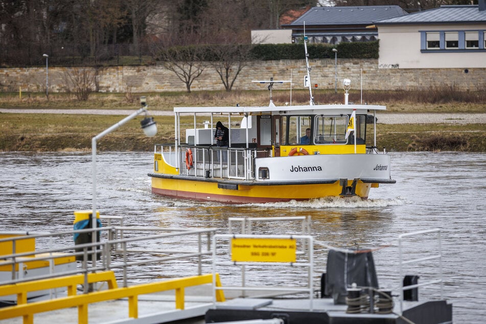 Ein Elbpegel um die vier Meter ist für die Fähren der DVB kein Problem.