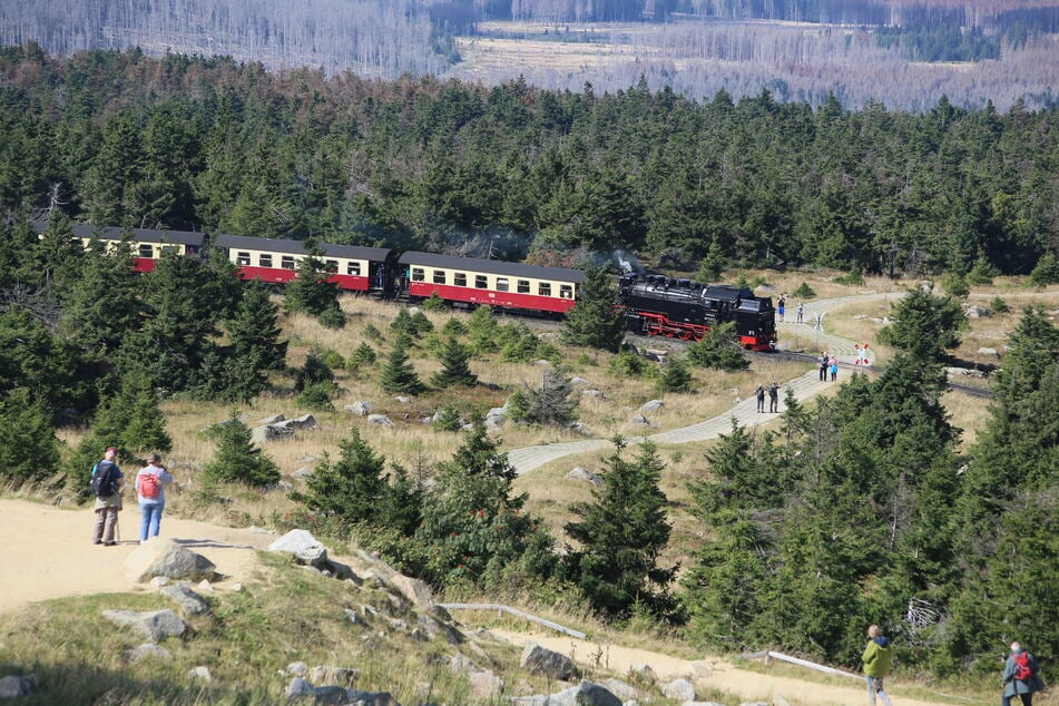 Das Bahnunternehmen soll jetzt Pläne für die Zukunft erarbeiten. (Archivbild)