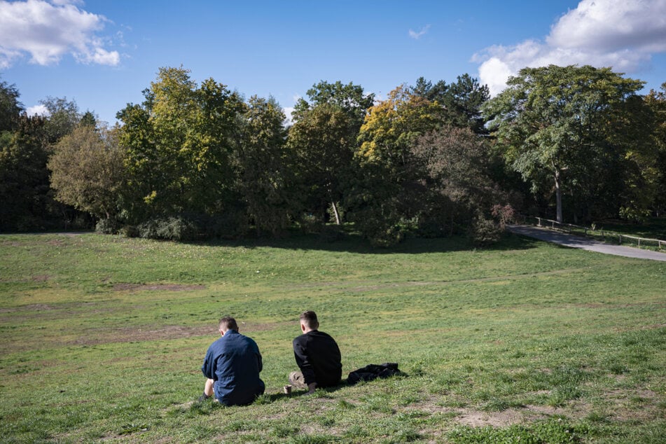 Berlin: Für ein grünes Neukölln: Bezirksamt pflanzt neue Bäume