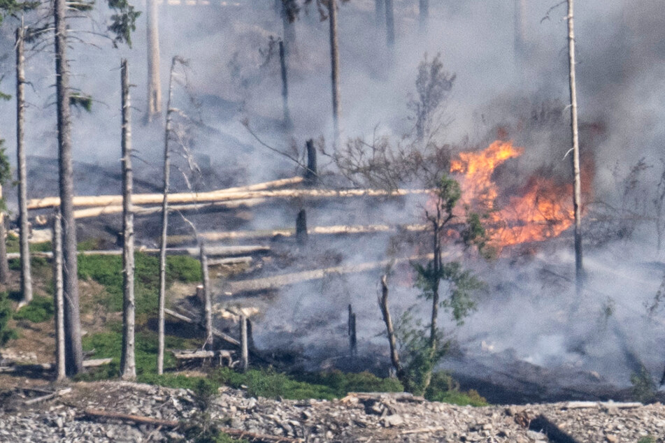 Brennende Bäume auf dem Berg "Altkönig" bei Kronberg im Taunus - der Waldbrand war am Montagnachmittag ausgebrochen.
