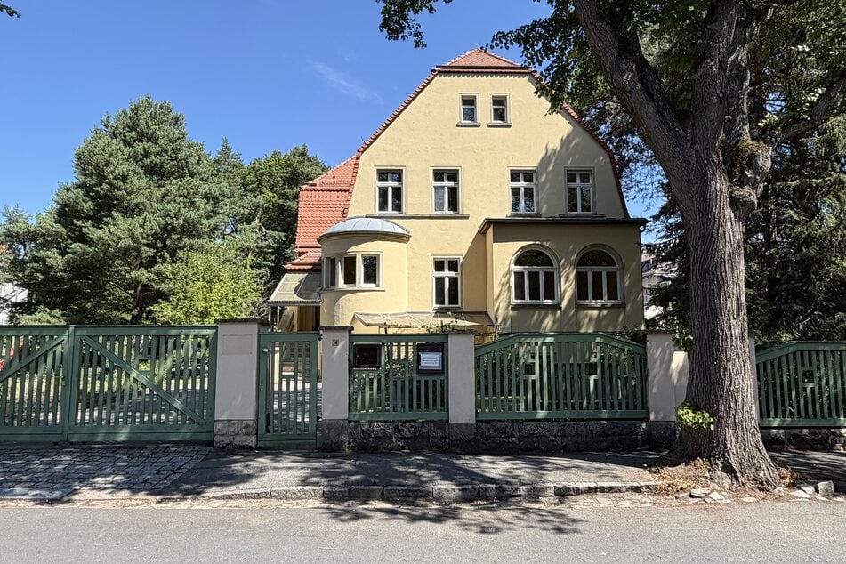 Diese Villa an der Darwinstraße 14 soll einen neuen Besitzer erhalten.