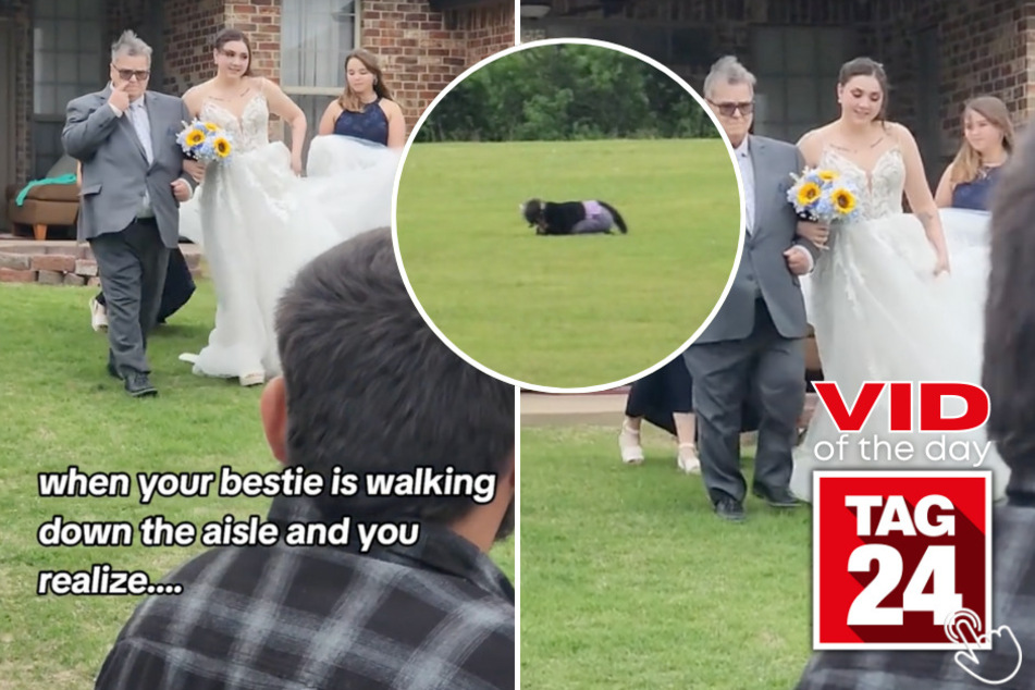 Today's Viral Video of the Day features a woman's hilarious discovery at her best friend's wedding.