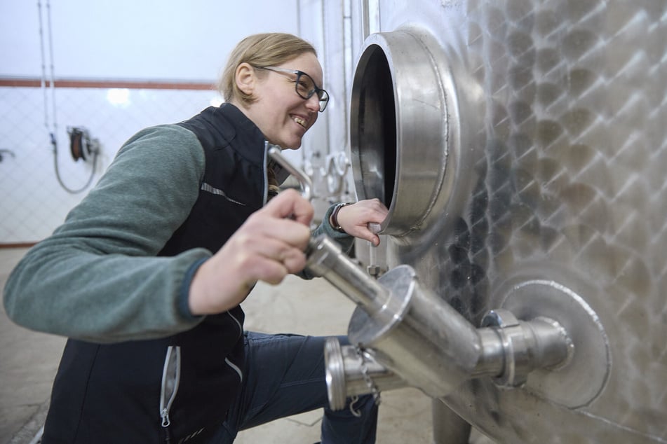 Die Masse der Weine wird in modernen Stahltanks ausgebaut.