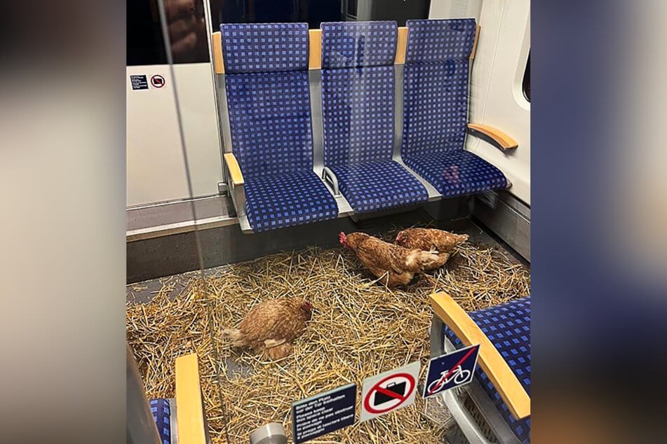 Drei Hühner wurden in einem Erste-Klasse-Abteil der Deutschen Bahn in Köln zurückgelassen.