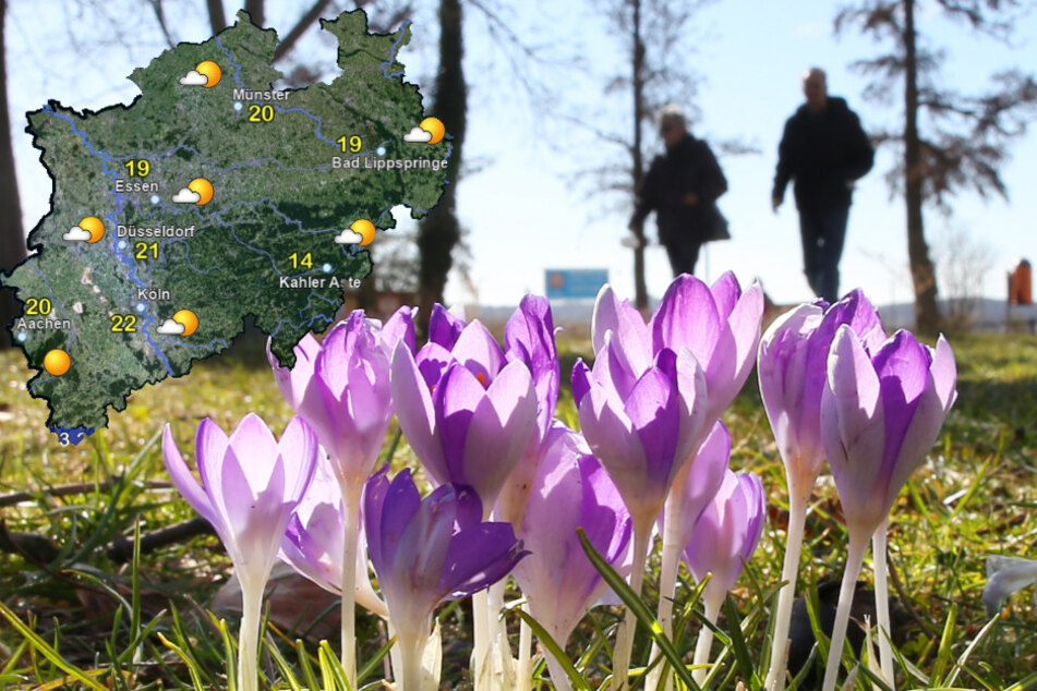 Pünktlich zum Ferienstart am Montag gibt es laut Prognose des Deutschen Wetterdienstes (DWD) reichlich Sonnenschein sowie ungewöhnlich milde Temperaturen.