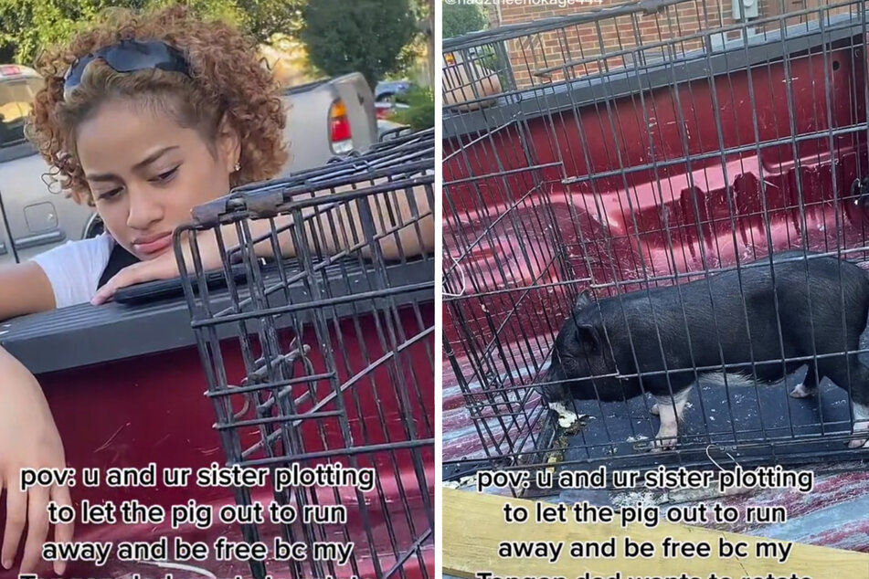 Als Nadia und ihre Schwester das Schwein sahen, wurde ihnen klar: Das süße Tier mussten sie retten!