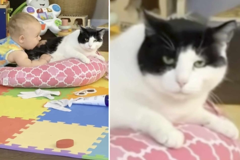 The girl's mother was initially worried that the cat would not be able to cope with the baby.
