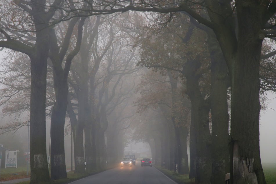 Nebel in Berlin und Brandenburg lässt gebietsweise nur eine Sicht von unter 150 Metern zu. (Symbolbild)