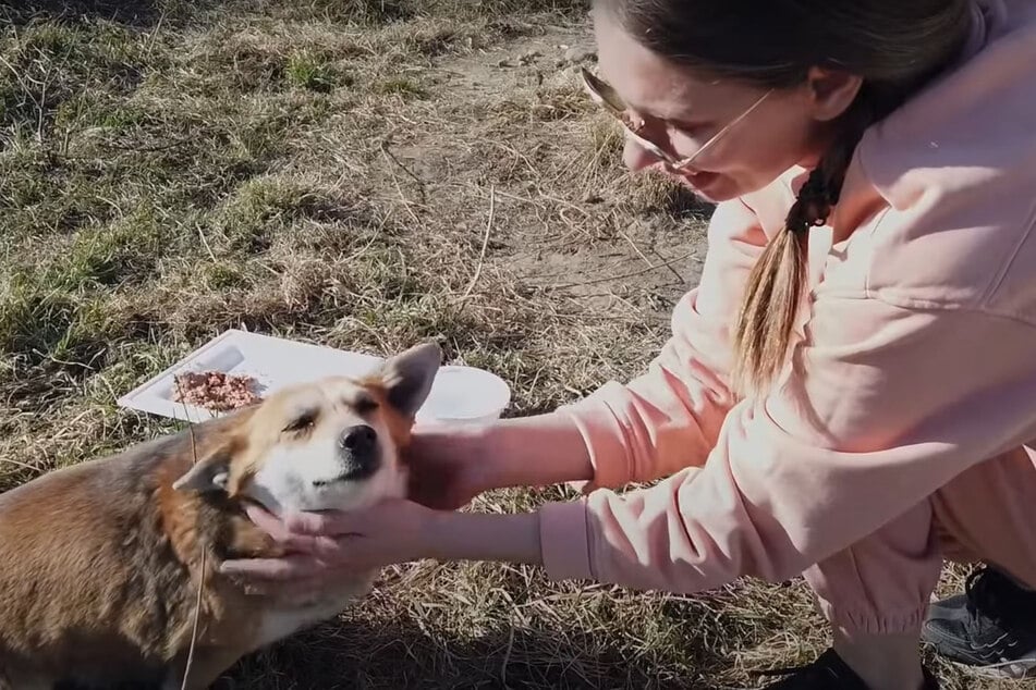 Olena streichelt den süßen Fratz ganz entspannt.