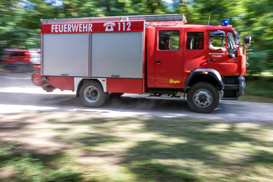 Hohe Waldbrandgefahr in Brandenburg: Diese fünf Regionen müssen bangen