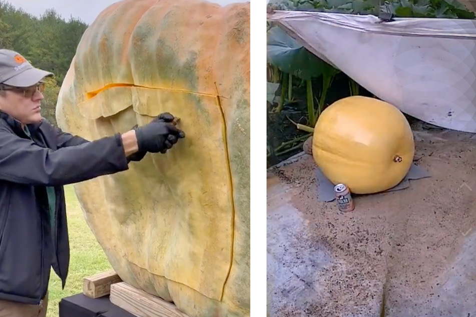 The squashcarver (l.) and bigpumpki have topped our TikTok feed, featuring plumper than plump pumpkins and carving creations.
