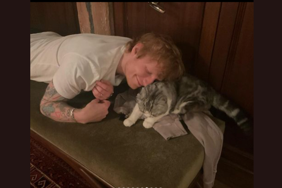 Ed Sheeran and Taylor Swift's cat Meredith cuddled up on an ottoman.