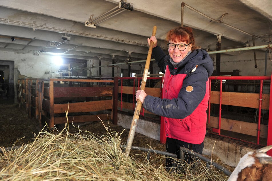 Der Naturhof Chemnitz setzt sich für Arten- und Naturschutz ein.