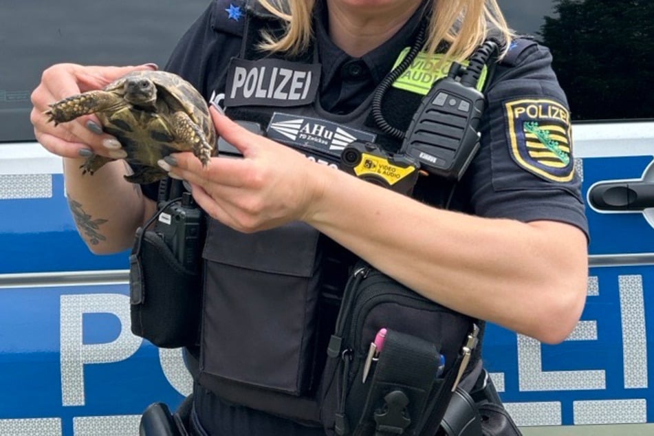 Eine Polizistin hält die Schildkröte in der Hand.