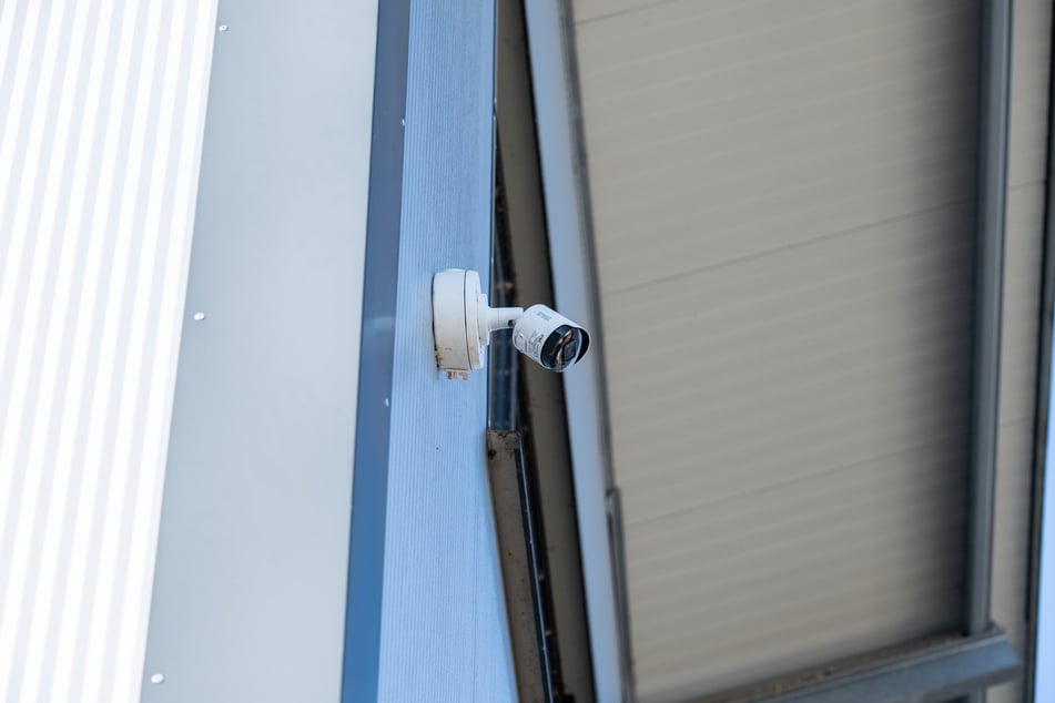 Díky této kameře na pozemku dílny se podařilo držitele najít a prokázat týrání.