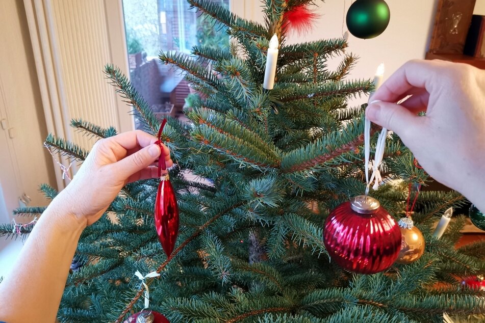 Ein geschmückter Weihnachtsbaum erfreut viele Menschen. Offenbar auch Diebe. (Symbolbild)