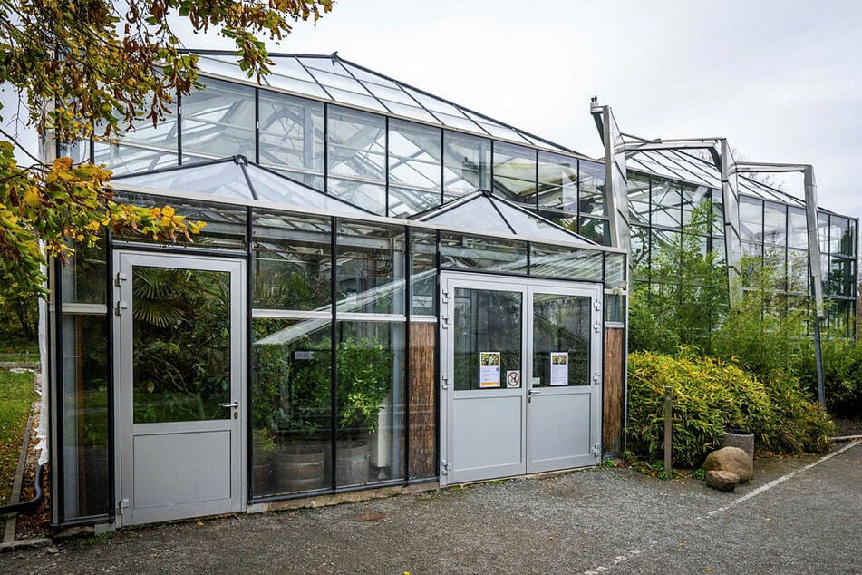 Im Botanischen Garten Chemnitz erwarten die Besucher drei Gewächshäuser.