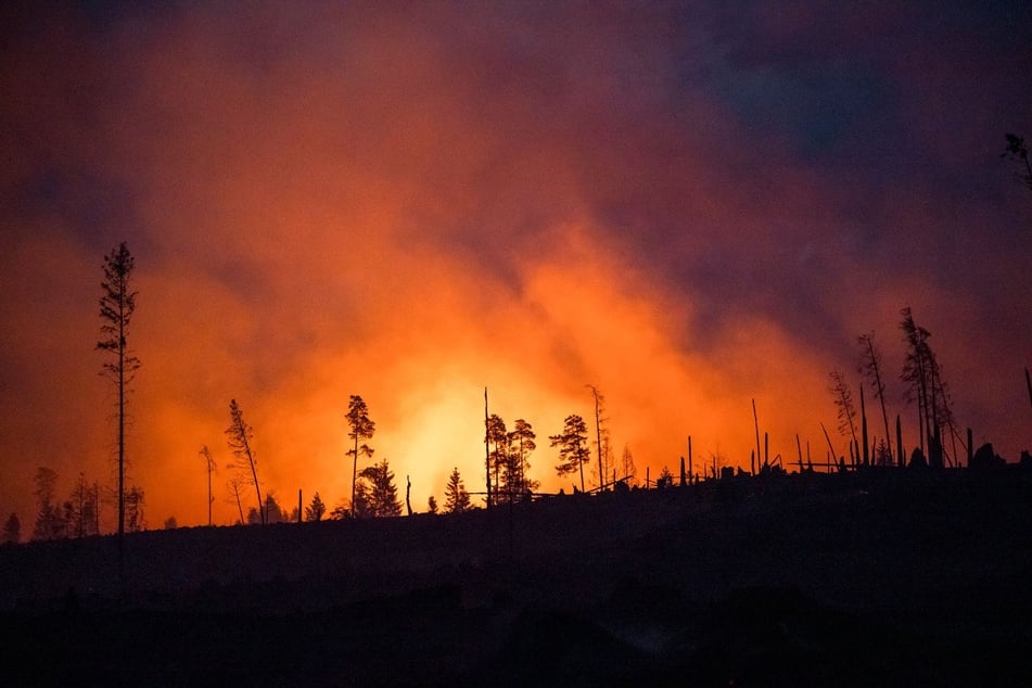 In Sonneberg brach am Nachmittag ein Waldbrand aus. (Archivbild)