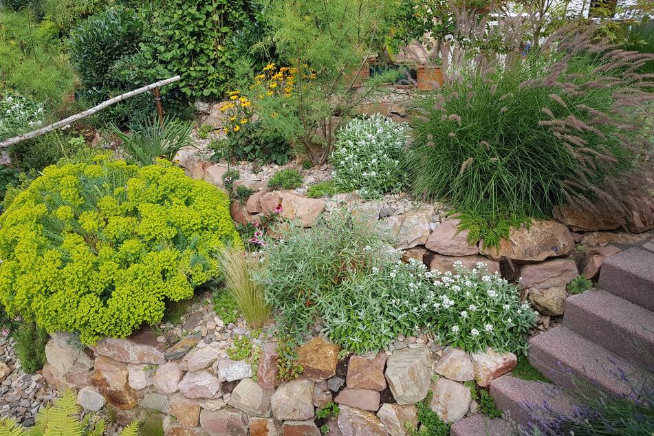 Wer ein natürliches Gefälle im Garten hat, kann einen Steingarten am Hang anlegen.