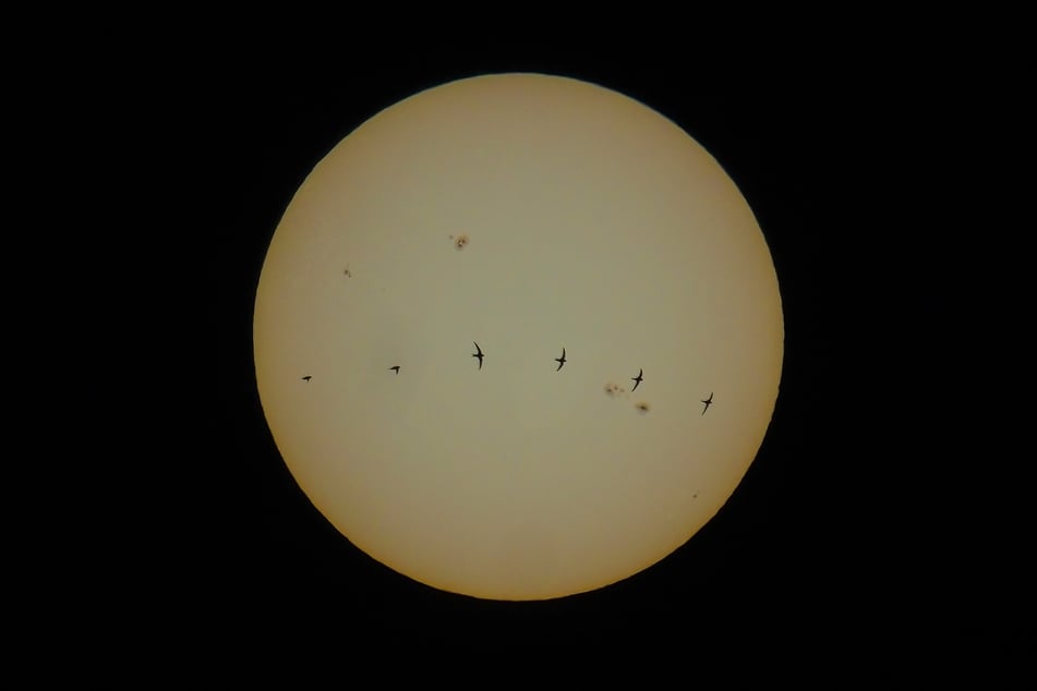 Zu knapp 90 Prozent verdeckt der Mond am 12. August die Sonne über Leipzig.