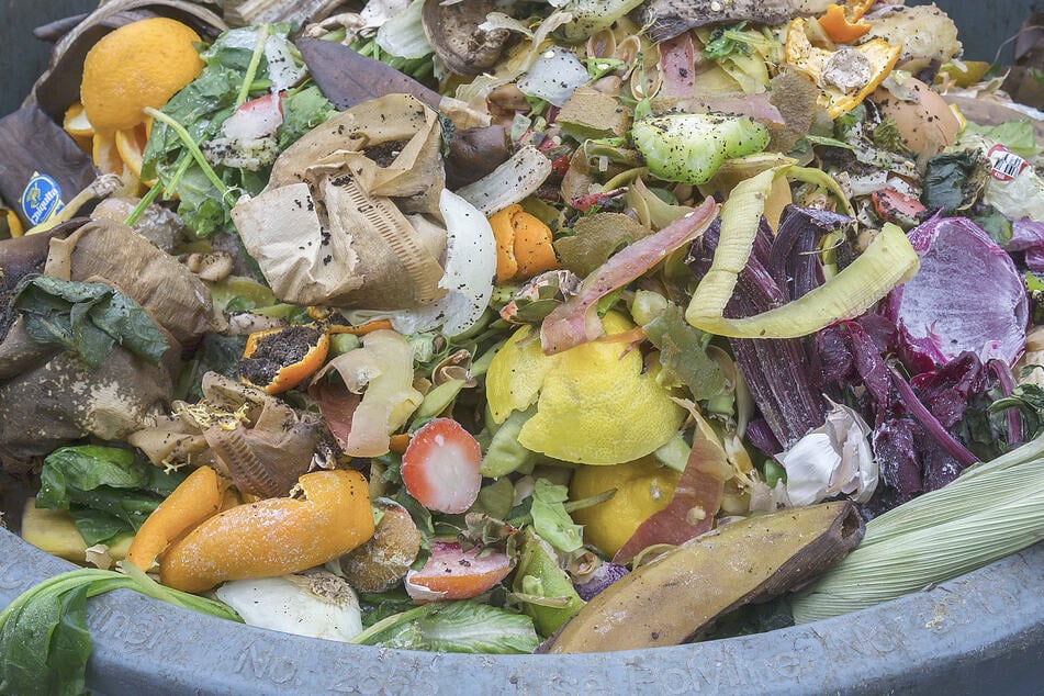 Bin breakdown: New York's new compost cans are anything but easy