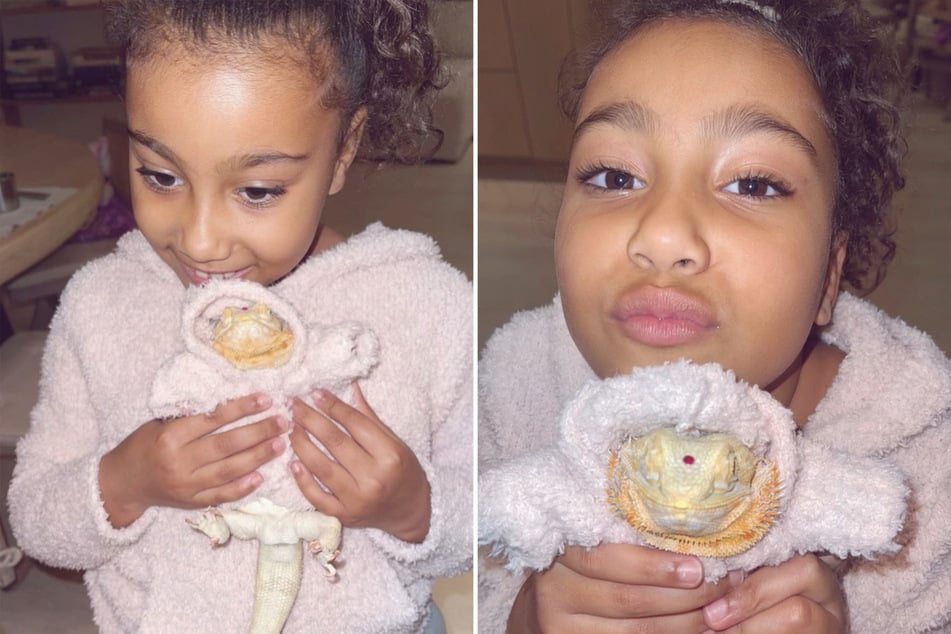 Před přibližně pěti lety si Kim pořídila gekona šupinatého a díky několika příspěvkům na Instagramu vyvolala značnou diskusi.