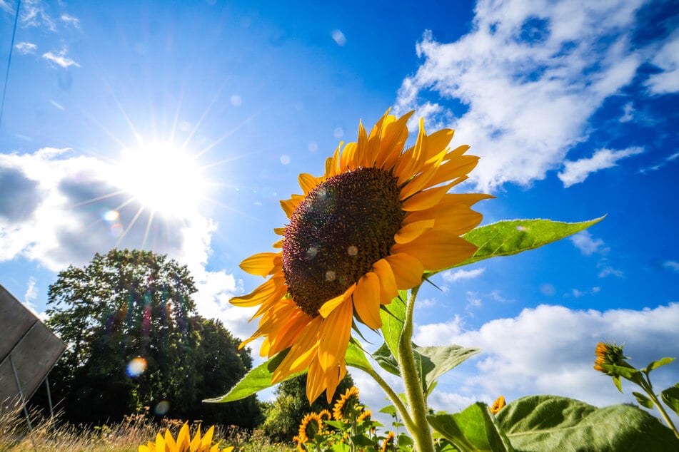 In Hessen startet die Woche mit sommerlichen Temperaturen und Sonne satt. (Symbolfoto)