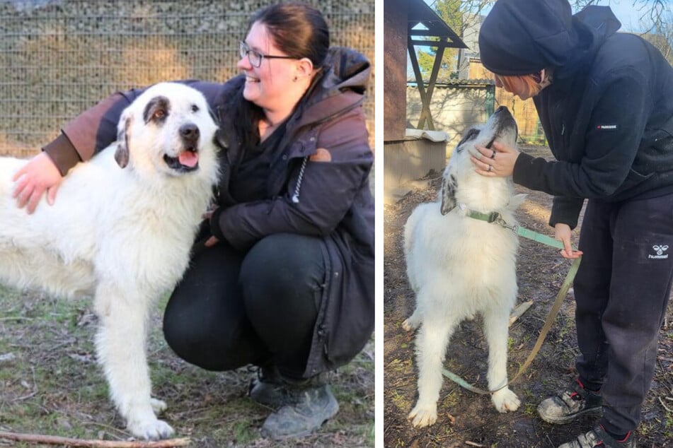Ulla ist sehr menschenbezogen.