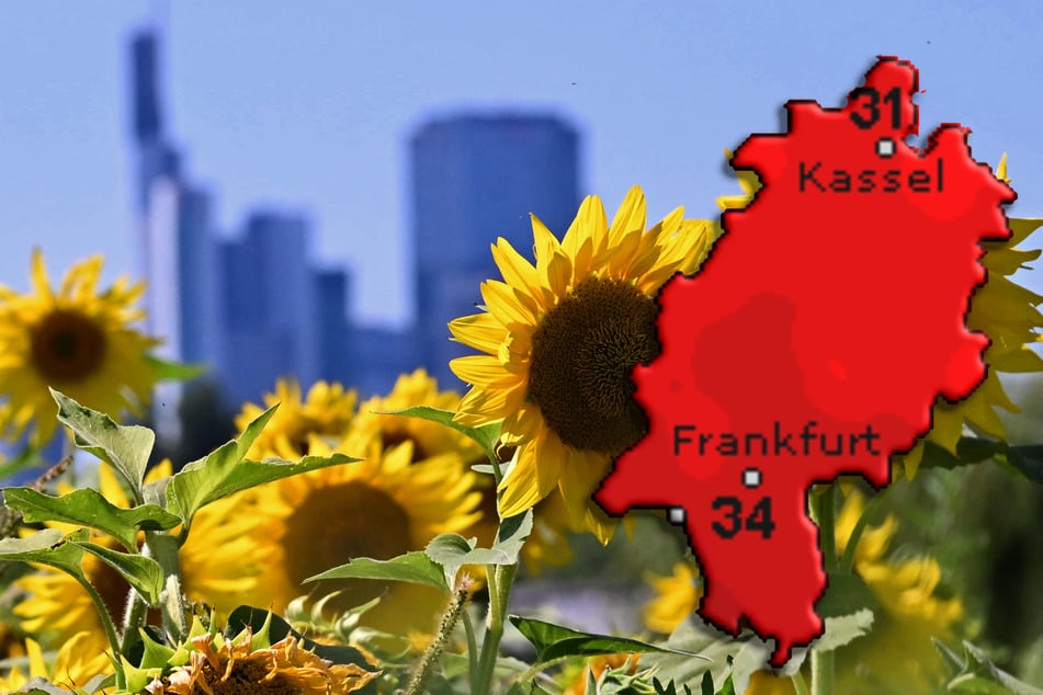 Hitze-Sommer geht weiter: So heiß wird die Woche in Hessen