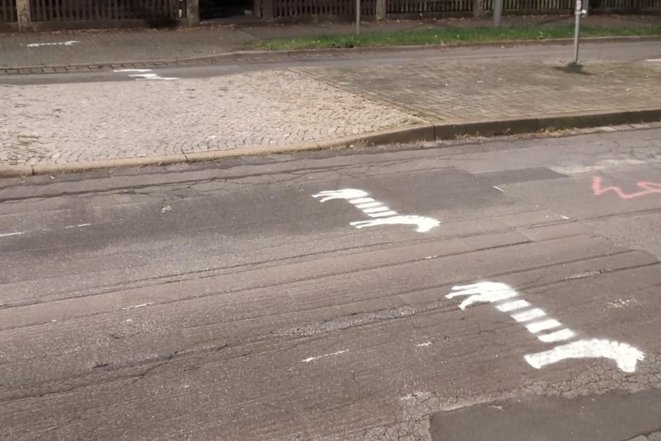 Dresden: Nächste Runde im Zebra-Streit: Aktivisten ärgern Stadt mit neuen "Kunstwerken"