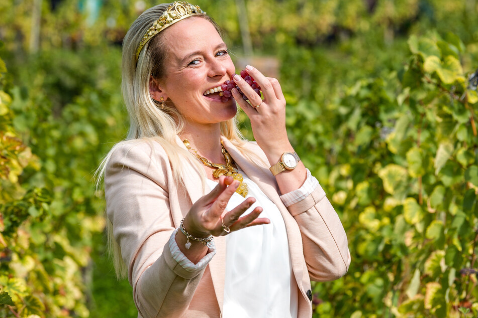 Sachsens Weinkönigin Sabrina Papperitz (30) verkostet den Traminer. Ihr Urteil: echt süß.