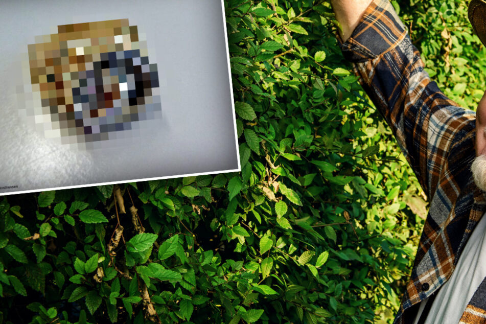 Rentner findet Mülltüte in seiner Hecke: Als er sie öffnet, traut er seinen Augen kaum