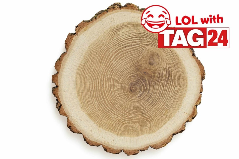 Joke of the Day for November 21, 2025: A tree-rific funny