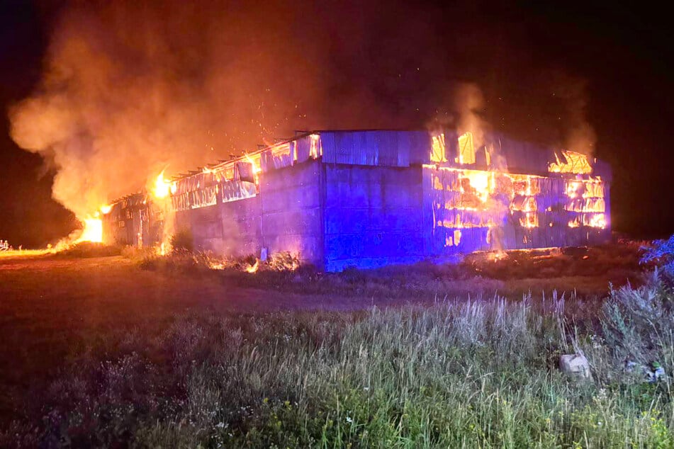 Flammen, wohin man sieht: Die Halle brannte am frühen Dienstagmorgen lichterloh.