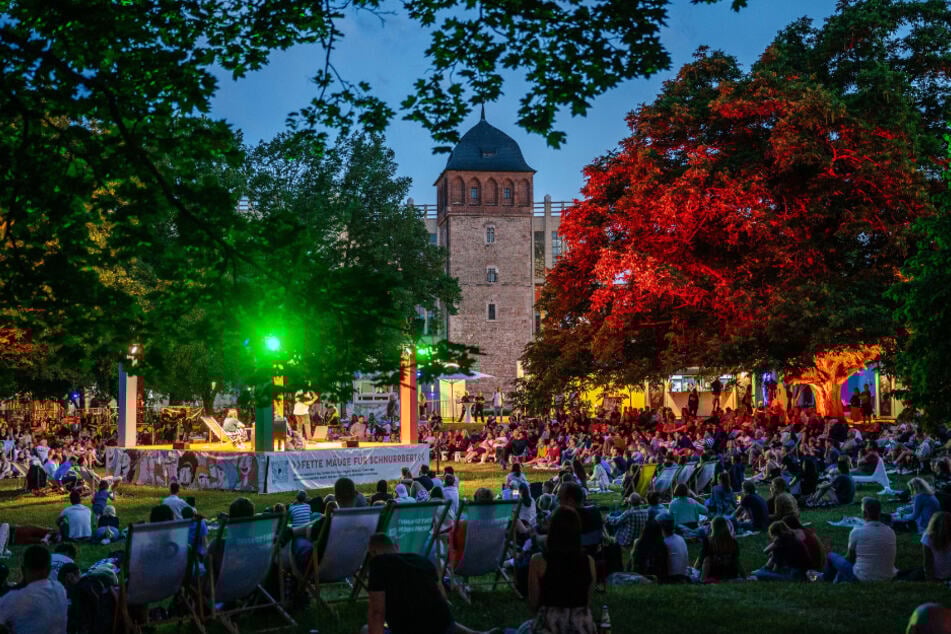 Die Poetry-Slam-Abende gehören jedes Jahr zu den beliebtesten Veranstaltungen beim Parksommer.