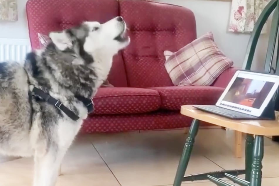 Seite 12 für News Alle Neuigkeiten &amp; Infos aus dem Netz TAG24