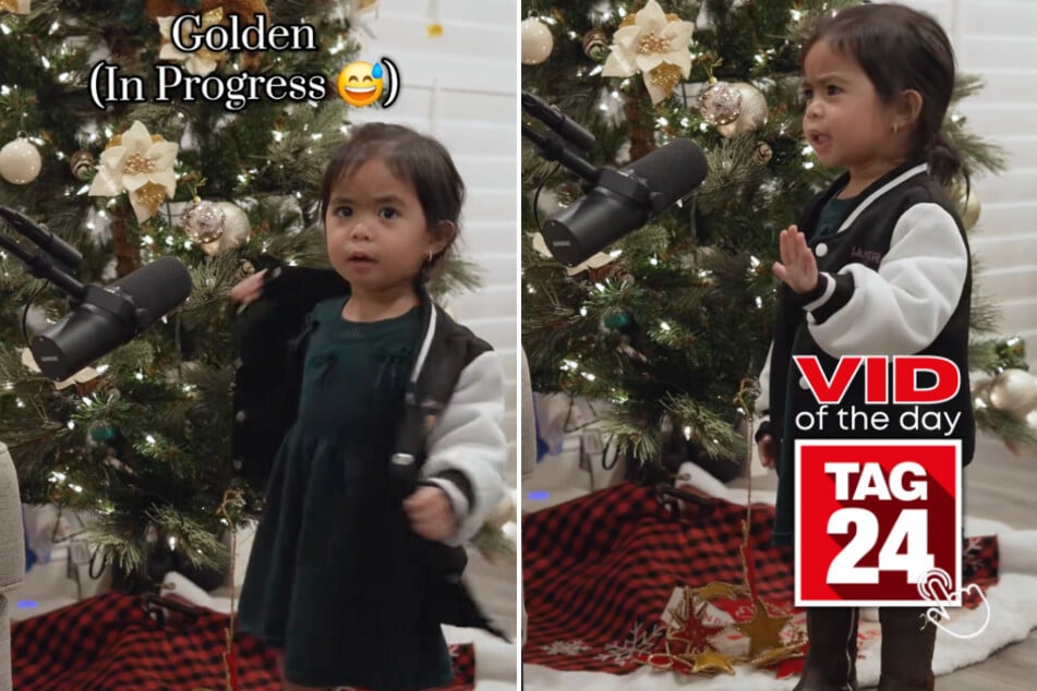 viral videos: Viral Video of the Day for December 24, 2025: Toddler's sassy "Golden" performance steals the internet!
