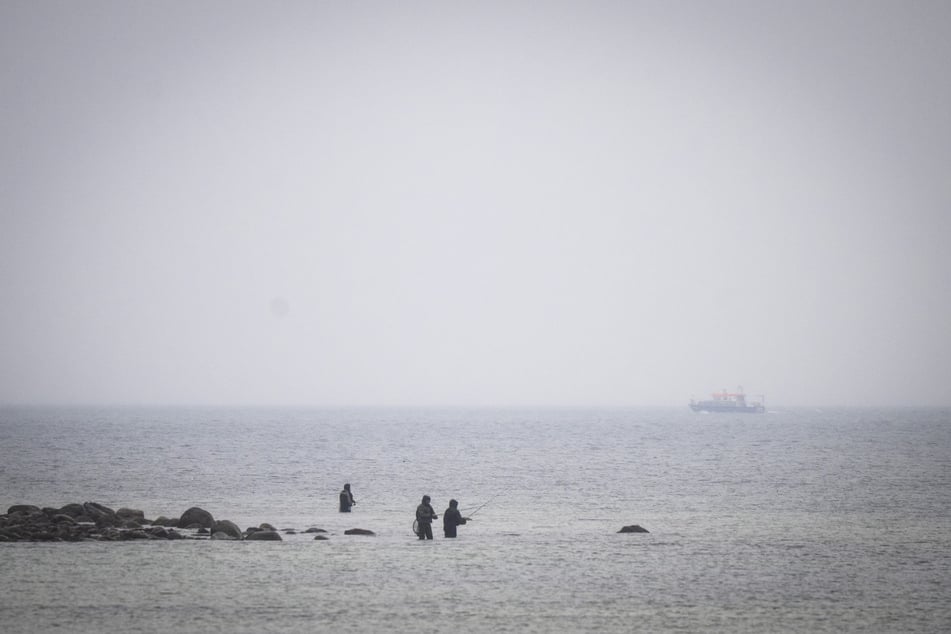 Das Boot "Uecker" der Wasserschutzpolizei fährt an der Ostseeküste vor Boltenhagen entlang und sucht nach dem Wal.