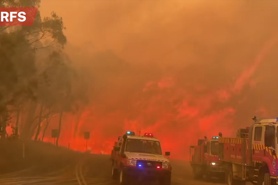 Die Flammen hatten sich rasch auf eine Fläche von mehr als 10.000 Hektar ausgebreitet.