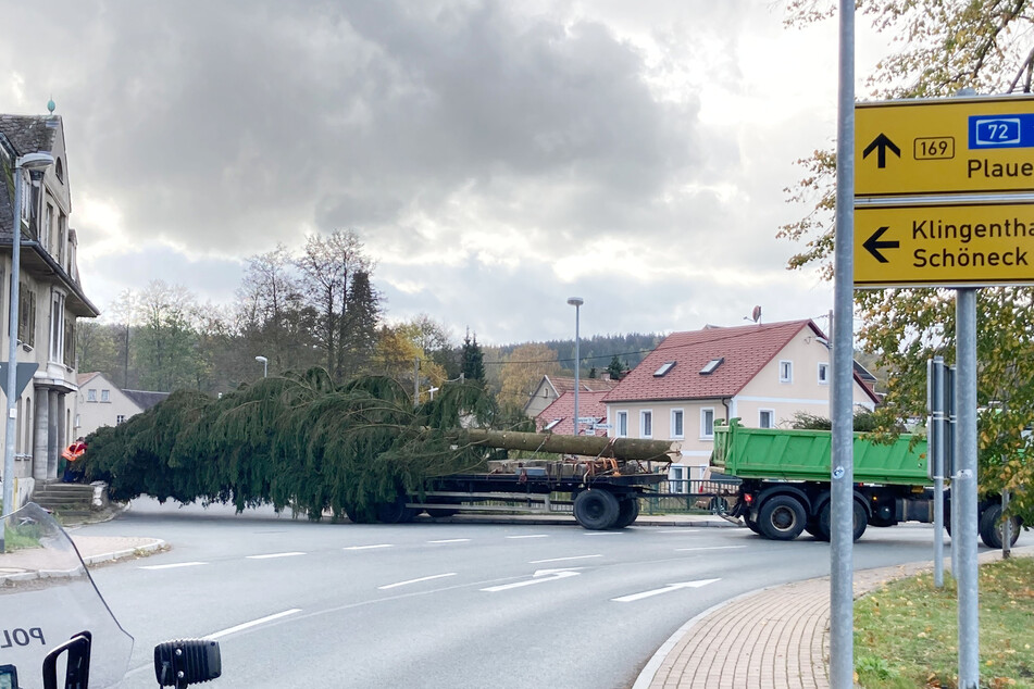 Der Baum wird nun nach Chemnitz transportiert. Dabei ist große Vorsicht geboten: Der Transport wird von der Polizei begleitet.