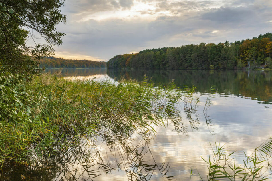 Am Liepnitzsee schoss ein verwirrter Mann um sich. (Symbolbild)