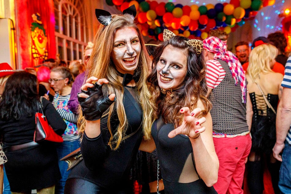 Diese Miezen zeigten 2017 im Parkhotel die Krallen.