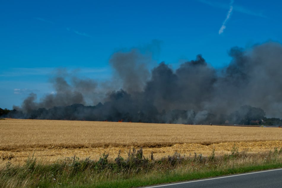 Der Brand sorgte für eine starke Rauchentwicklung, weshalb die Einsatzkräfte eine Warnung an die Bevölkerung herausgaben.
