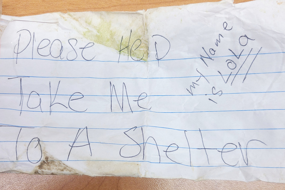Könnte das die Handschrift eines Kindes sein? Noch hat die Polizei Lolas Besitzer nicht gefunden. Der Grund für ihr Auftauchen mit Hilfe-Notiz bleibt weiterhin ein Rätsel.