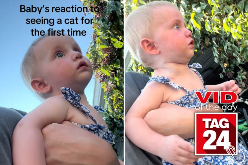 This baby girl had the most priceless reaction to seeing a cat for the very first time!